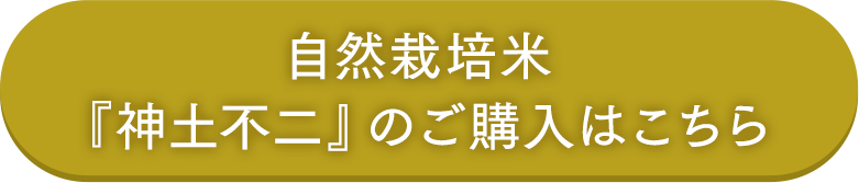 購入はこちらから